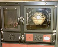 Rosa mit R�mertopf