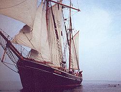 Albatros mit Schwimmern