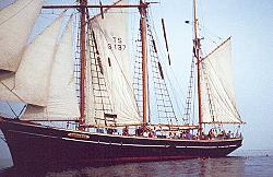 Albatros mit Schwimmern