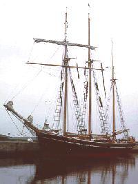 Albatros