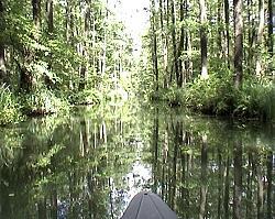 Spreewald