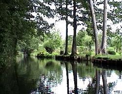 Spreewald