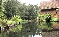 Spreewald
