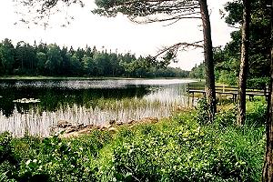Auf dem Halleberg - &copy; Sandra+Bernd