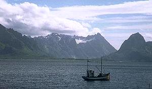 Lofoten - &copy; Sandra+Bernd