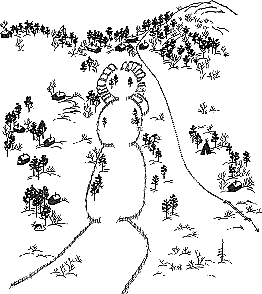 Rentierscheidungsplatz Sallivaara